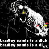Cover of Bradley Sands is a Dick