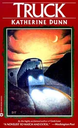 Cover of Truck