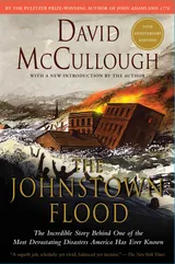 Cover of The Johnstown Flood