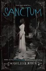 Cover of Sanctum