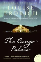 Cover of The Bingo Palace