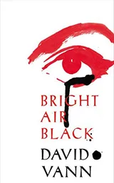 Cover of Bright Air Black