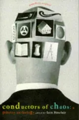 Cover of Conductors Of Chaos