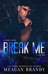 Cover of Break Me