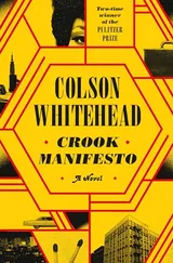 Cover of Crook Manifesto