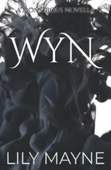 Cover of Wyn