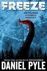 Cover of Freeze