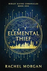 Cover of Elemental Thief