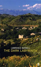 Cover of The Dark Labyrinth