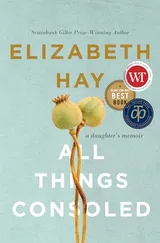 Cover of All Things Consoled: A Daughter's Memoir