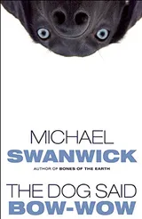 Cover of The Dog Said Bow-Wow