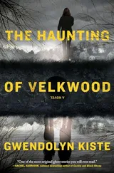 Cover of The Haunting of Velkwood