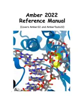 Cover of Amber 2022