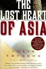 Cover of The Lost Heart of Asia