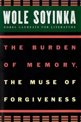 Cover of The Burden of Memory, the Muse of Forgiveness