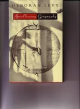 Cover of Swallowing Geography