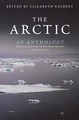 Cover of The Arctic: An Anthology