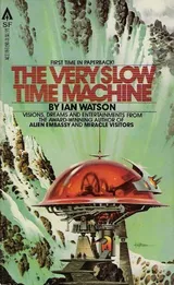 Cover of The Very Slow Time Machine
