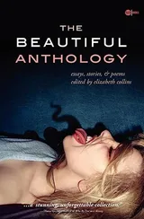 Cover of The Beautiful Anthology