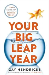 Cover of Your Big Leap Year