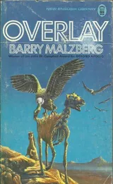 Cover of Overlay