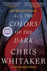 Cover of All the Colors of the Dark