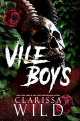 Cover of Vile Boys