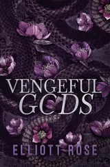 Cover of Vengeful Gods