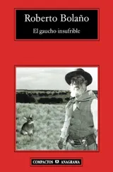 Cover of El gaucho insufrible