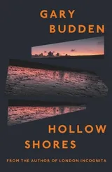 Cover of Hollow Shores