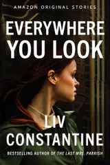 Cover of Everywhere You Look