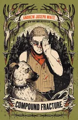 Cover of Compound Fracture