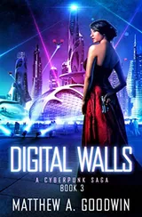 Cover of Digital Walls