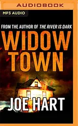 Cover of Widow Town