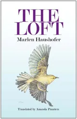 Cover of The Loft