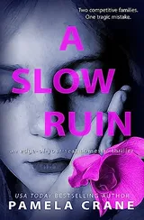 Cover of A Slow Ruin