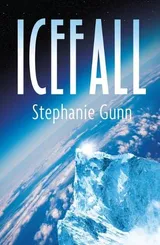 Cover of Icefall