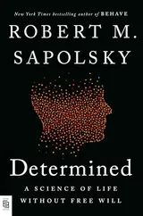 Cover of Determined