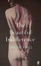 Cover of Beautiful indifference stories