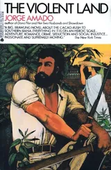 Cover of The Violent Land