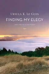 Cover of Finding My Elegy: New and Selected Poems