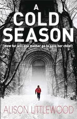 Cover of A Cold Season