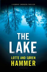 Cover of The Lake