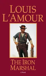 Cover of The Iron Marshal