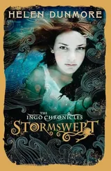 Cover of Stormswept