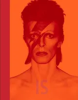 Cover of David Bowie Is