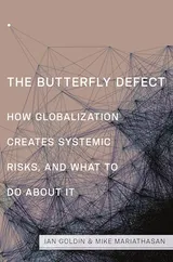 Cover of The Butterfly Defect: How Globalization Creates Systemic Risks, and What to Do about It
