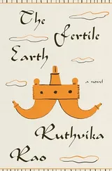 Cover of The Fertile Earth