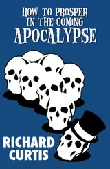 Cover of How to Prosper in the Coming Apocalypse
