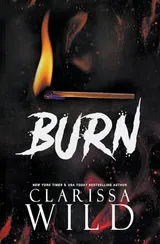 Cover of Burn